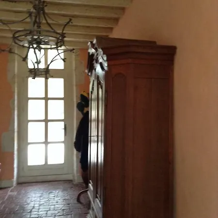 Superb Renovated House In Gascony-gers Oda ve Kahvaltı Condom